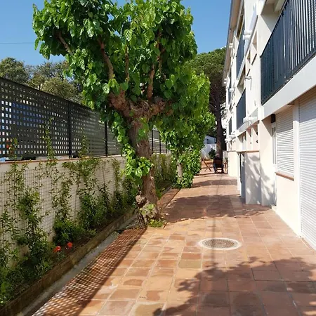 Con Piscina En Calella De Palafrugell, Parking Gratuito Appartement Calella De Palafrugell